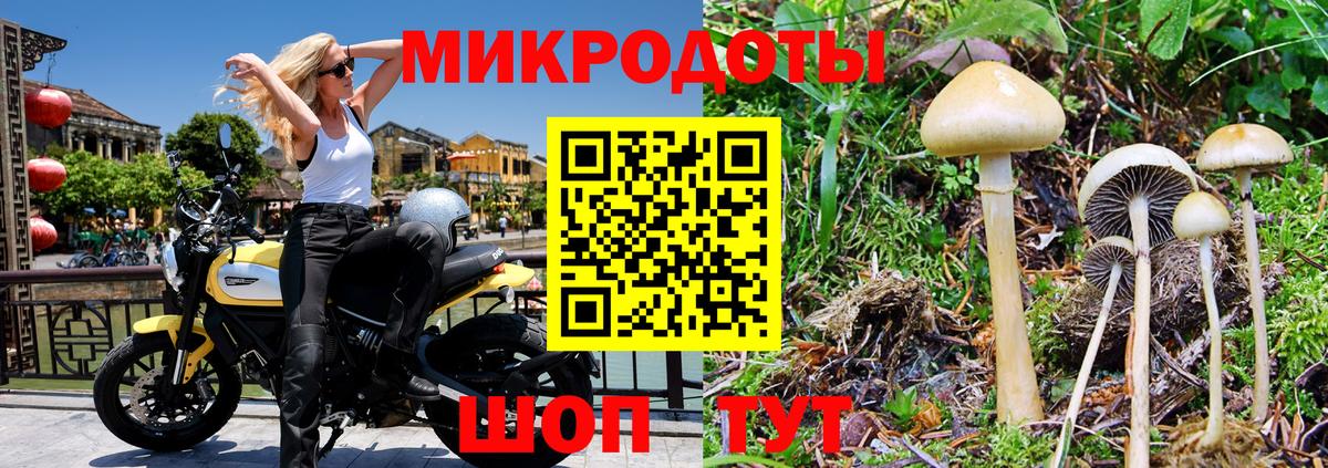 Галлюциногенные грибы прущие грибы Сегежа