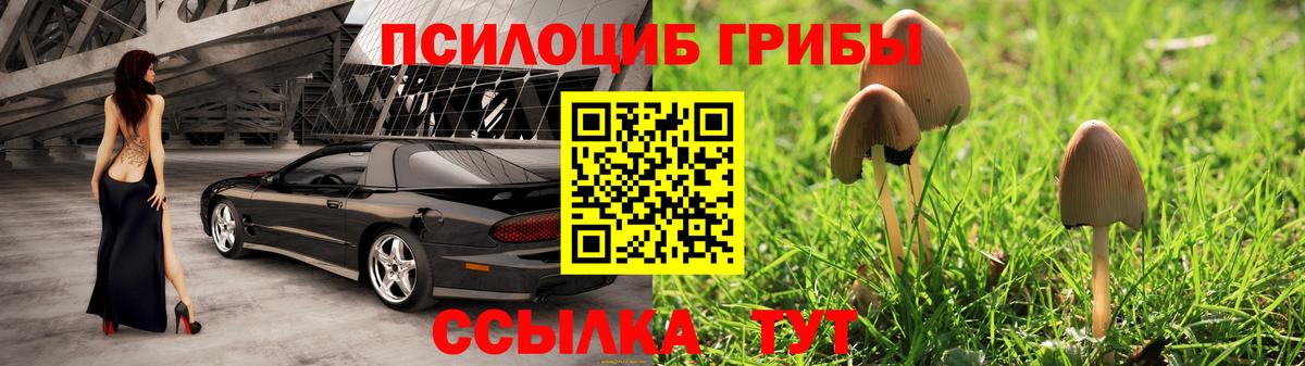 Псилоцибиновые грибы мицелий  Вход с VPN  Сегежа  Галлюциногенные грибы ЛСД 